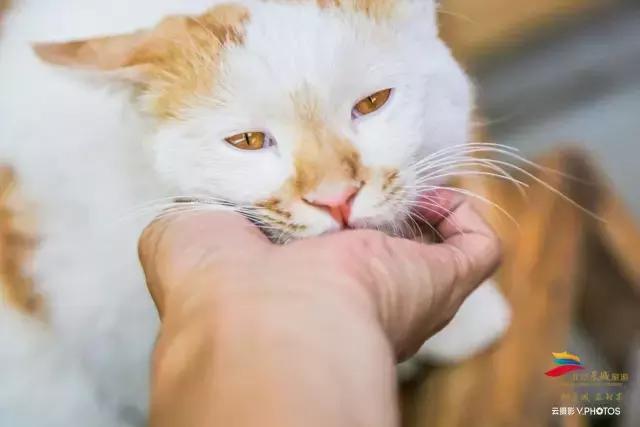 绝美的风景送给你,有一种风景叫朋友圈里的风景