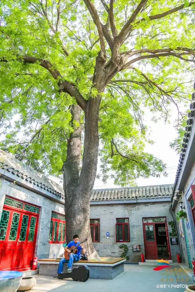 绝美的风景送给你,有一种风景叫朋友圈里的风景