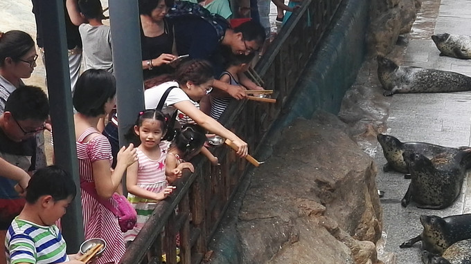 烟台蓬莱长岛两日游景色美极了,烟台长岛三日游攻略