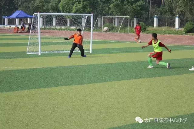 超越梦想从足下启航,超越梦想从足下启航作文