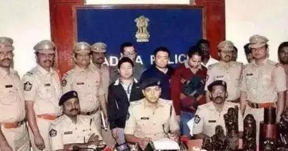 小叶紫檀冬天倒盆快死了,小叶紫檀半死不活