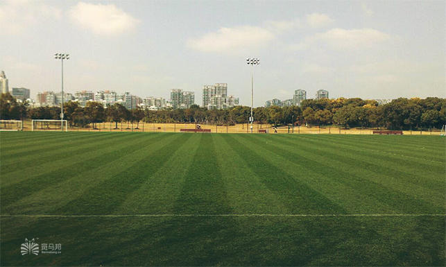 上海足球场人造草坪推荐,上海哪里有足球场草坪