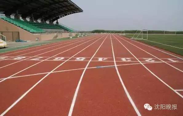 还有316天，沈阳人再不做这30件事就晚了！