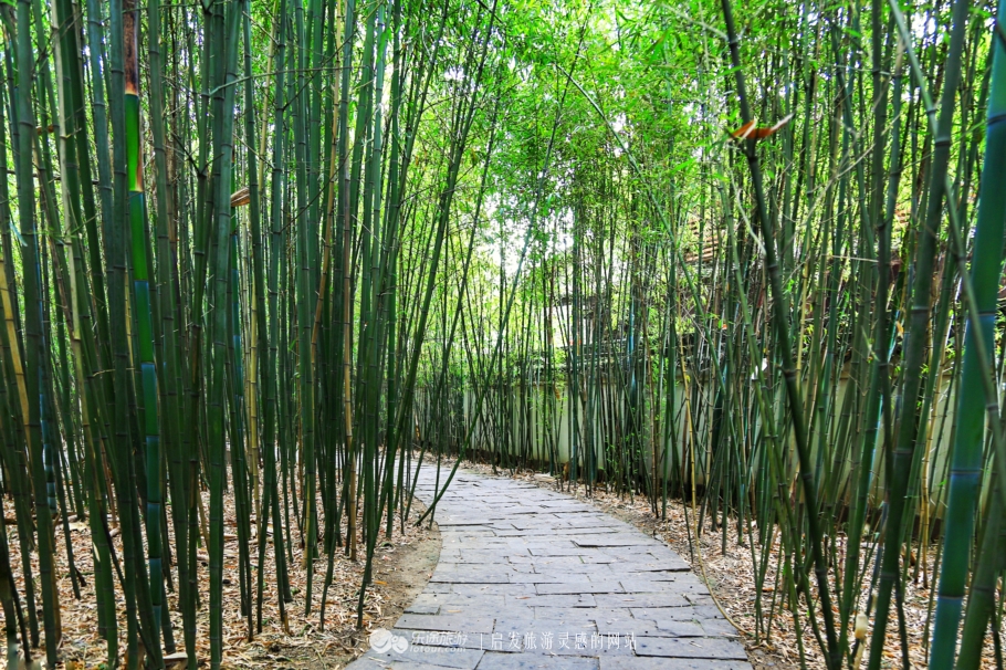 今天的昭化古城,昭化古城