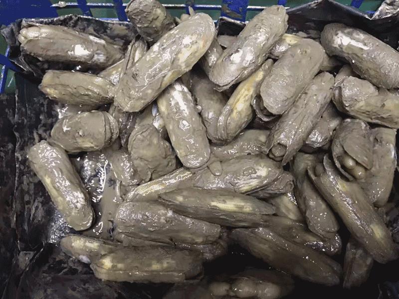 6张桌子,2个包厢,城南这家连导航都搜不到的私房小馆子,却藏着《食神》级别的蛋炒饭……