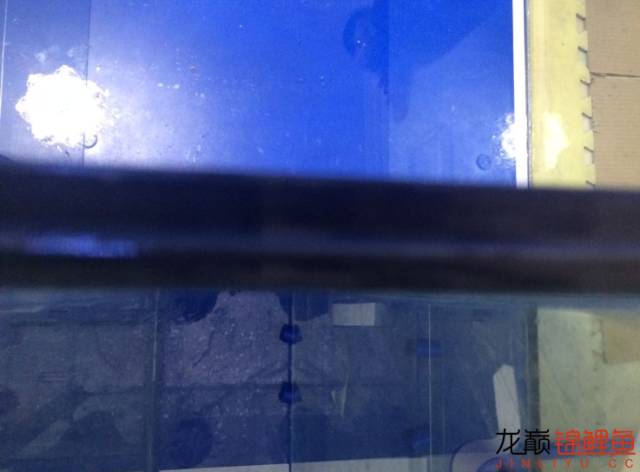 地缸推荐,家里可以搞个多大的地缸