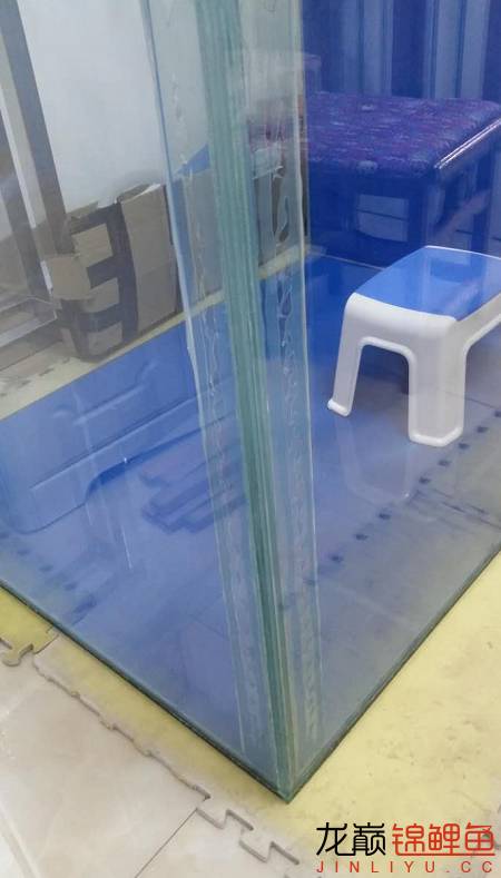 地缸推荐,家里可以搞个多大的地缸