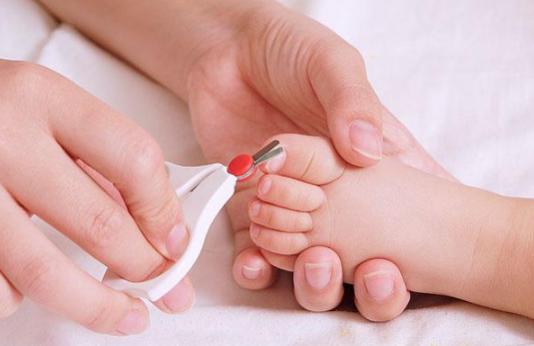 剪宝宝指甲剪到肉了出血了怎么办,给宝宝剪指甲不小心剪到肉出血了