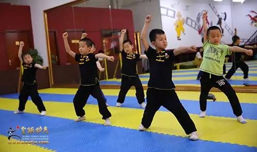 馆校推荐｜“功夫宝贝”大展身手