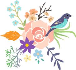 2017年招聘书记员条件,我院招录聘用制书记员