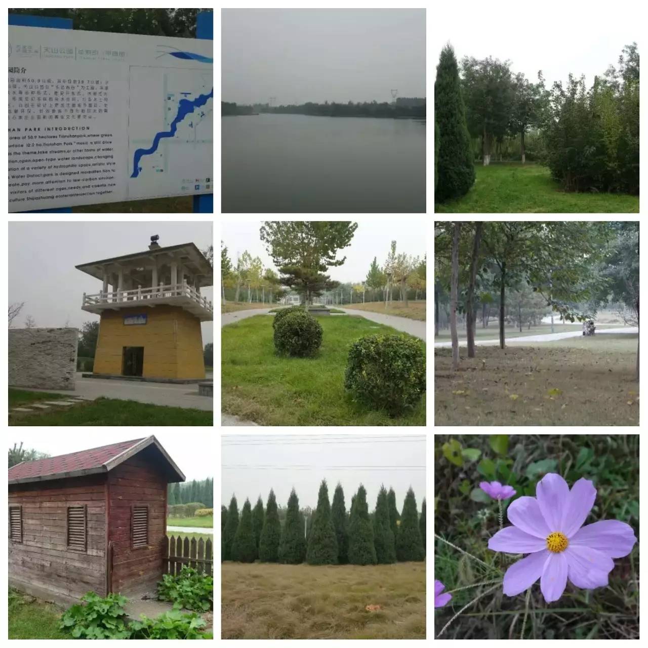 我用30万步,走遍石家庄公园