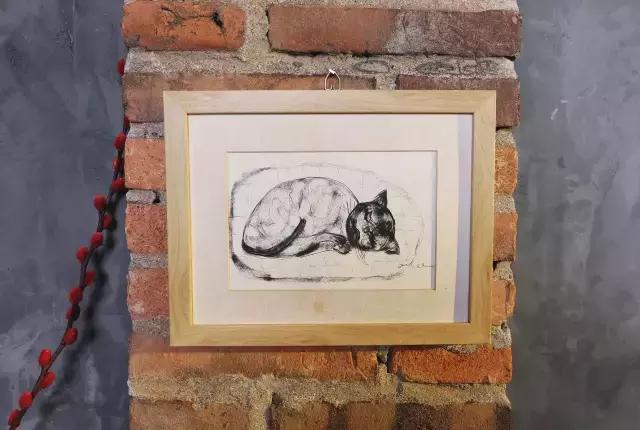 TALKXM｜你听过“路灯计划”吗？