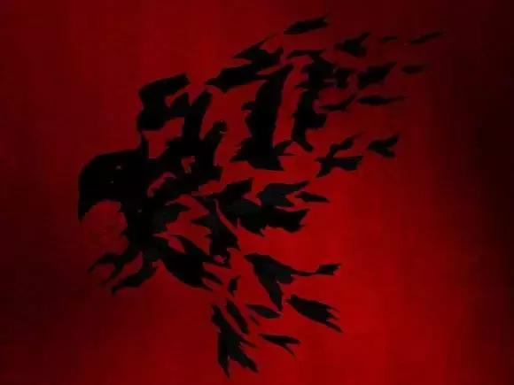 新华先锋系列图书,新华先锋是正版吗