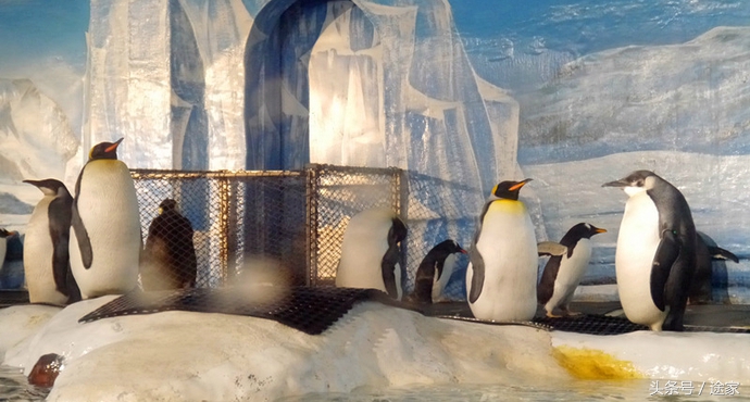 亲子游大连和青岛,青岛大连亲子游4天自由行攻略