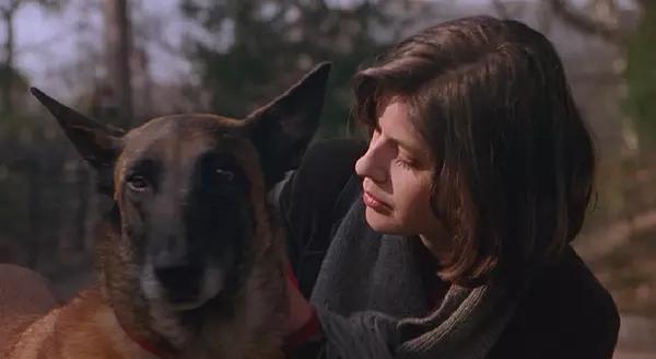 法国十大爱情经典的电影,法国爱情电影推荐前十名