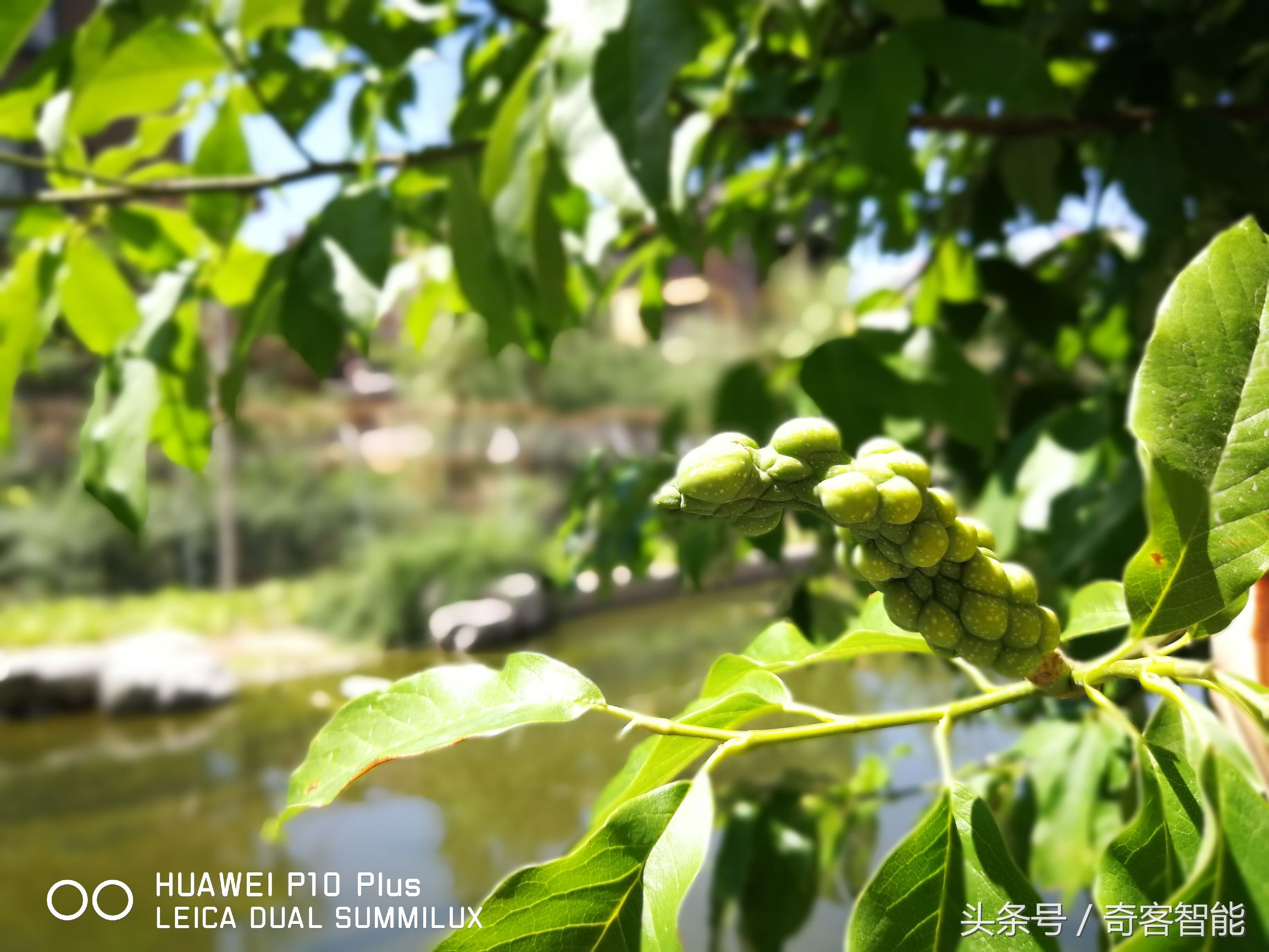 华为p10plus钻雕金,华为p10plus现在还值得买