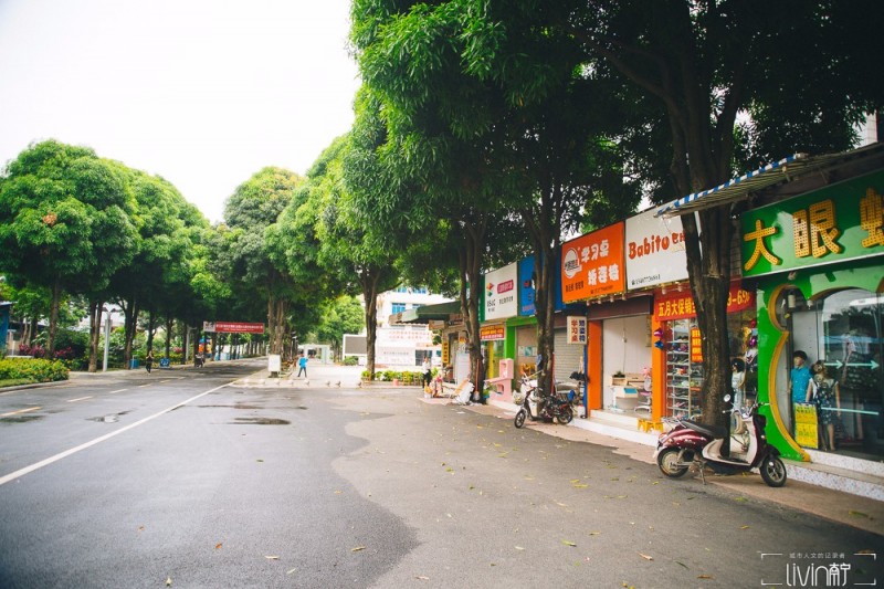 南宁青少年宫老照片,南宁市西乡塘区少年宫