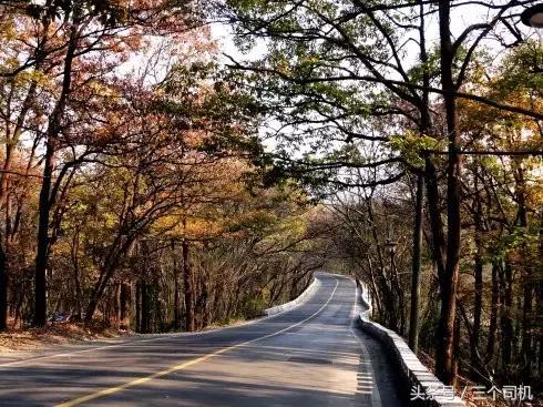 这事儿搞不清,你就真的是用绳命在开车