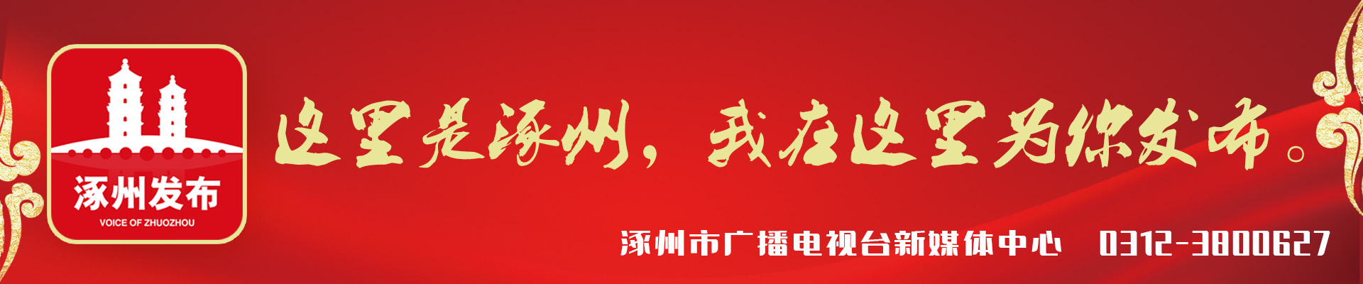 夏青杯全部视频,夏青杯青少年