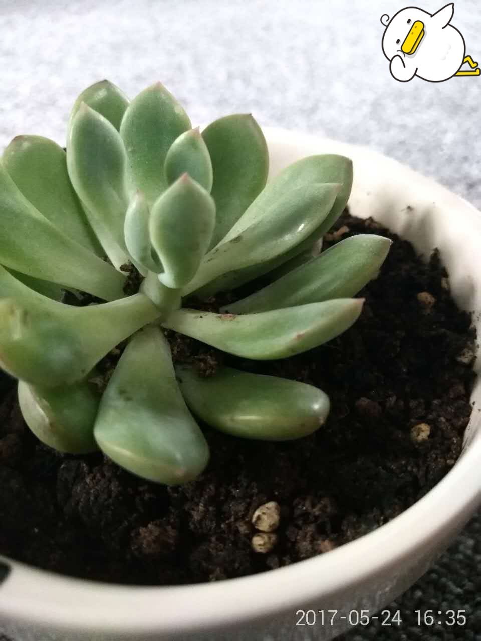 360手机n5s,360n5s手机值不值得买