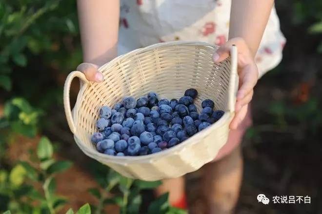 柳传志为什么不搞研发,柳传志创业失败