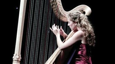 初学者学竖琴需要注意些什么,初学竖琴应该注意哪些