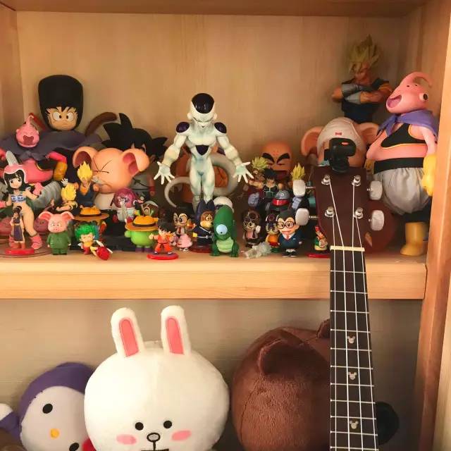 真正震撼人心的收藏,只属于投入感情最多的玩家