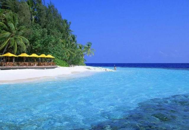 刘诗诗婚礼林依晨,刘诗诗吴奇隆度蜜月