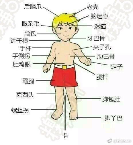 刚和老公谈恋爱笑话,和老公谈对象的笑话