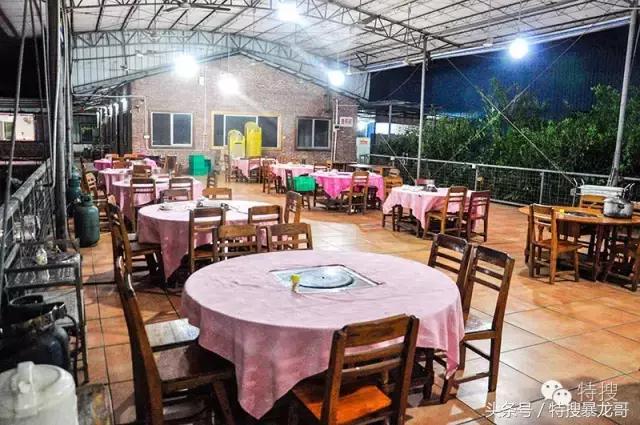 中山南头烧鹅网红美食排行榜,中山南头最好吃的烧鹅