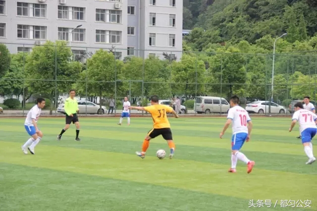 绿茵场上青春飞扬原唱,警队健儿展雄风