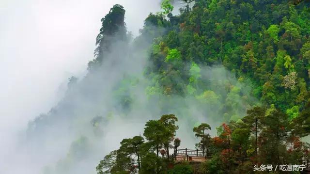 上林旅游有什么好玩的地方,上林好玩地方攻略必去景点