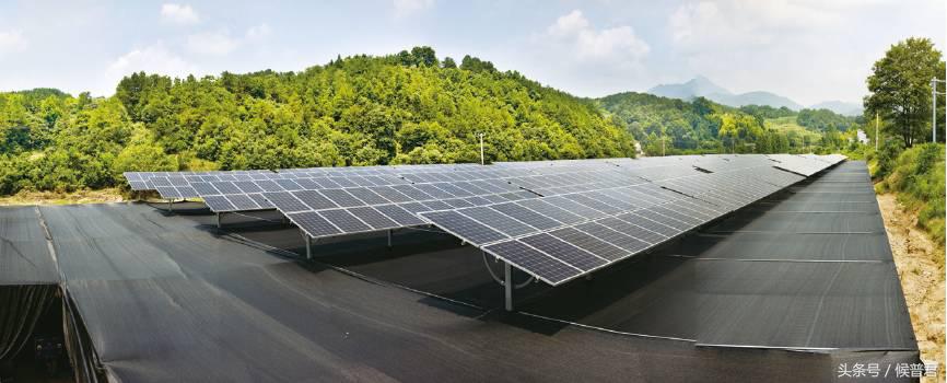 康美来董事长,康美来商学院院长