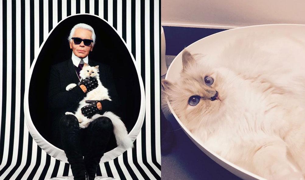 爱乐之城连衣裙、至in迷你猫脸包齐集，盘点今夏至潮单品！