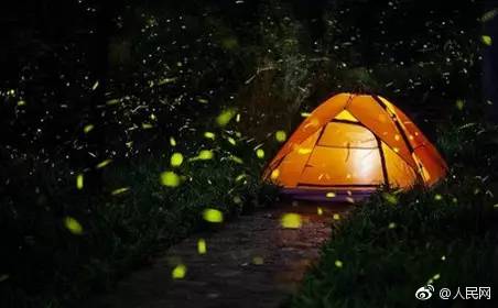 淘宝禁售防护用品,淘宝禁售保育龟