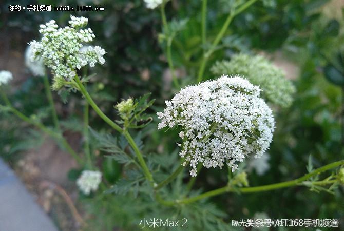 小米max2最新测评,小米max2详细深度评测