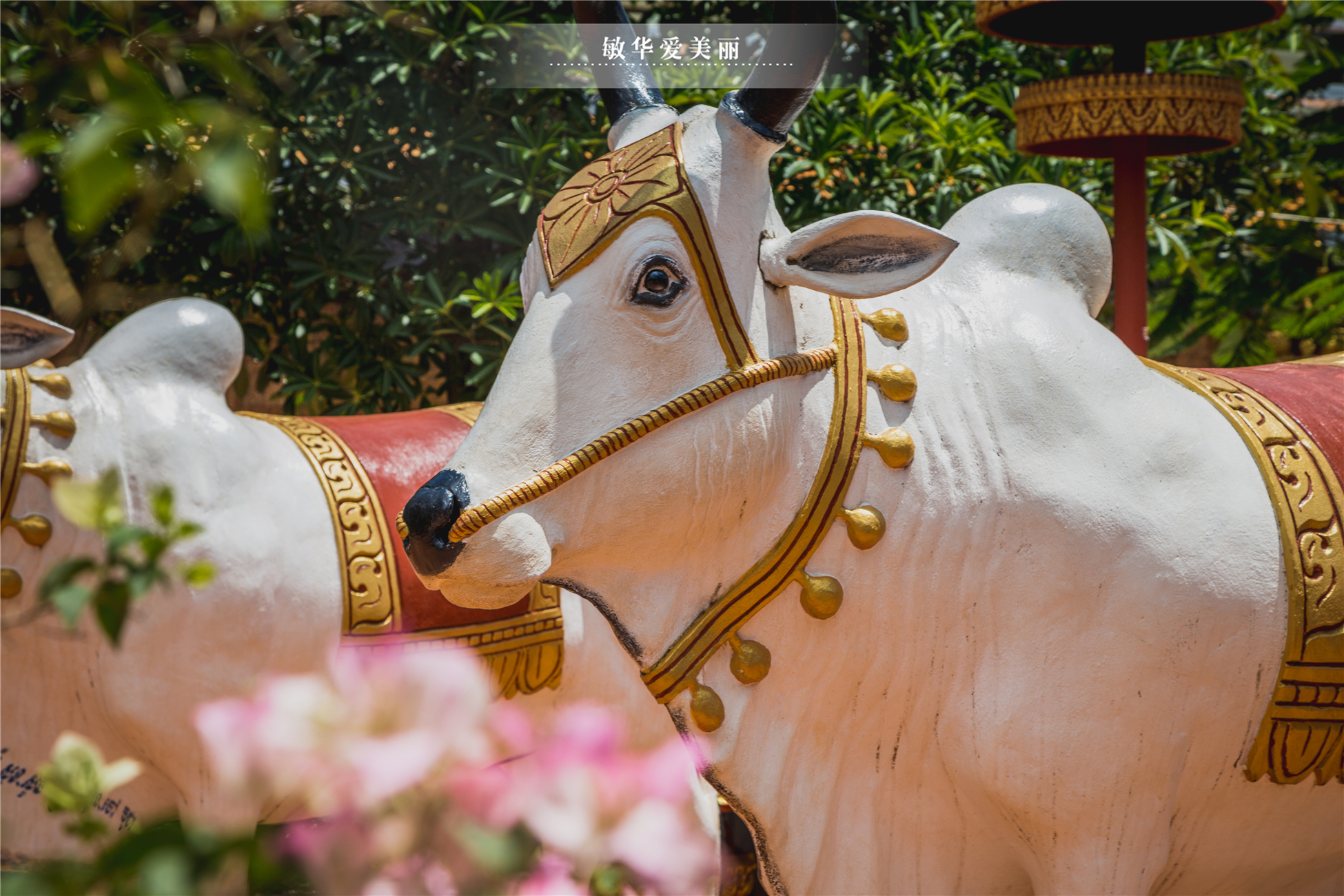 柬埔寨的传奇寺庙,历史上的柬埔寨寺庙