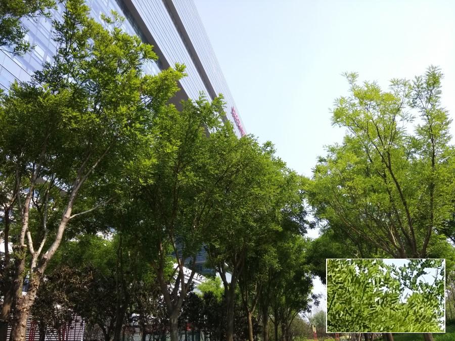 1500块以内的手机玩游戏,酷派酷玩6大米评测