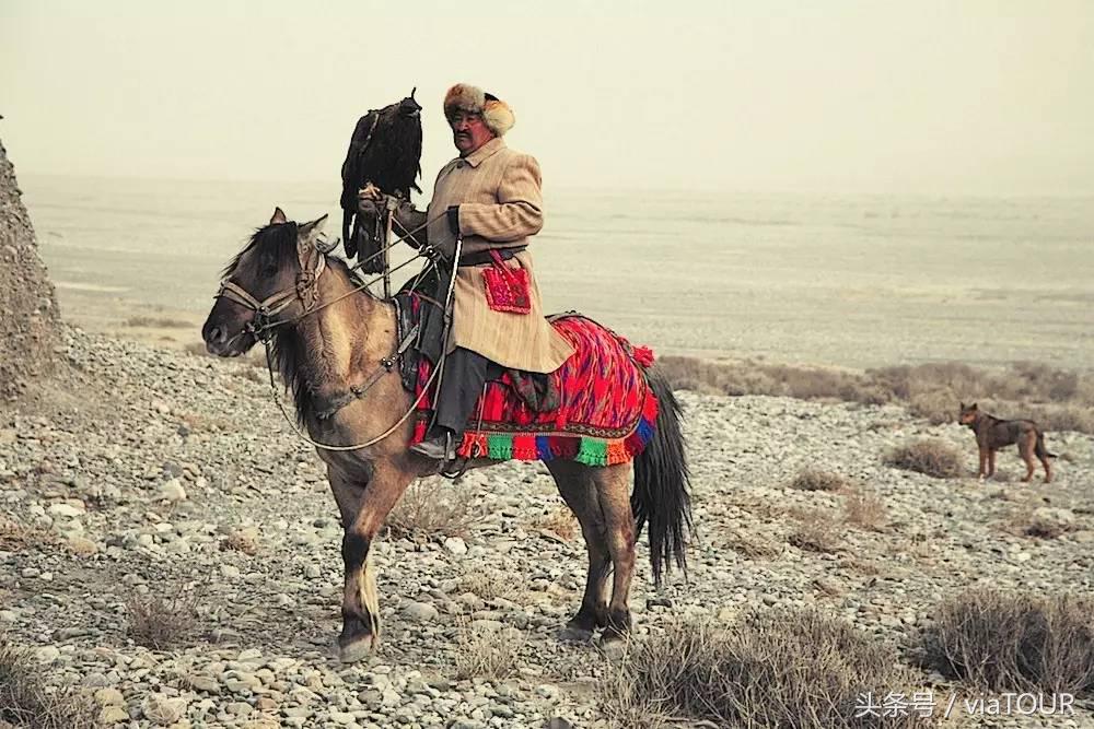 途迹|克尔克孜猎鹰的故乡