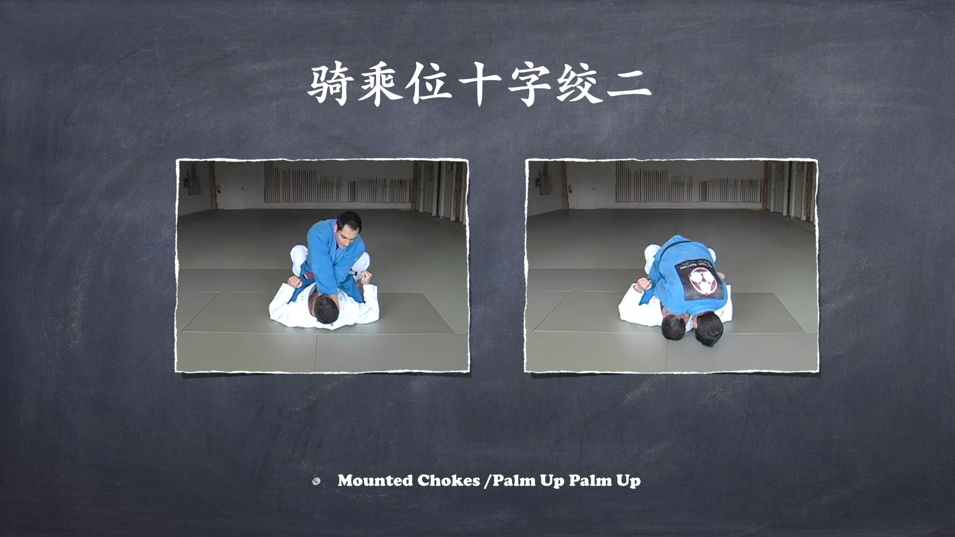 RoyDeans巴西柔术蓝带技术学习大纲