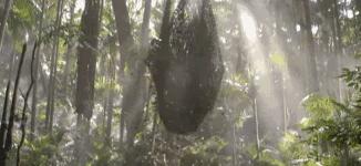 加勒比海盗5死无对证中文版电影,加勒比海盗5:死无对证完整版