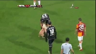 闯入足球场的动物,闯入者外国版叫什么