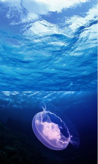 ps里蒙版怎么弄成选区,ps蒙版画笔的使用方法