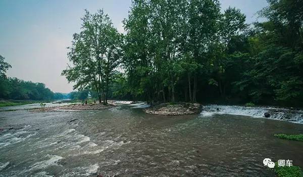 36元起！端午和陈柏霖、林依晨探索高山林海秘境，竹海漫步！