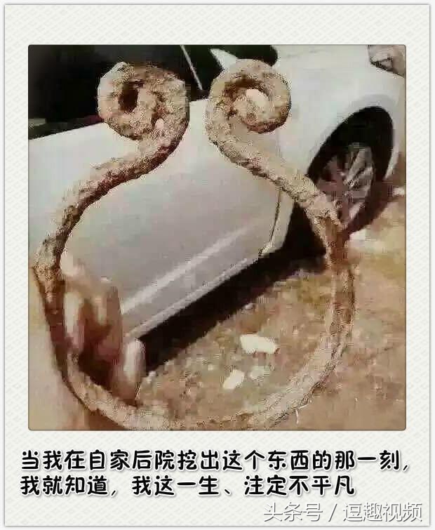 瓜子脸有那么好看吗,为什么大家都是瓜子脸