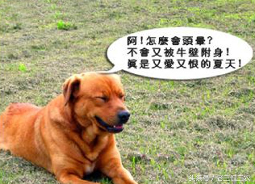 如果脏到长了这个东西，不管是城里还是农村人，都注定讨不到老婆