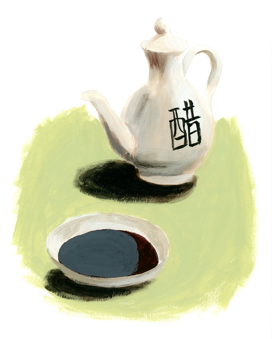 药食两用功能性食疗醋,饮食养生密码书籍