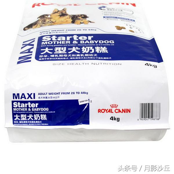 泰迪犬的饮食习惯和禁忌,泰迪犬的健康饮食方法