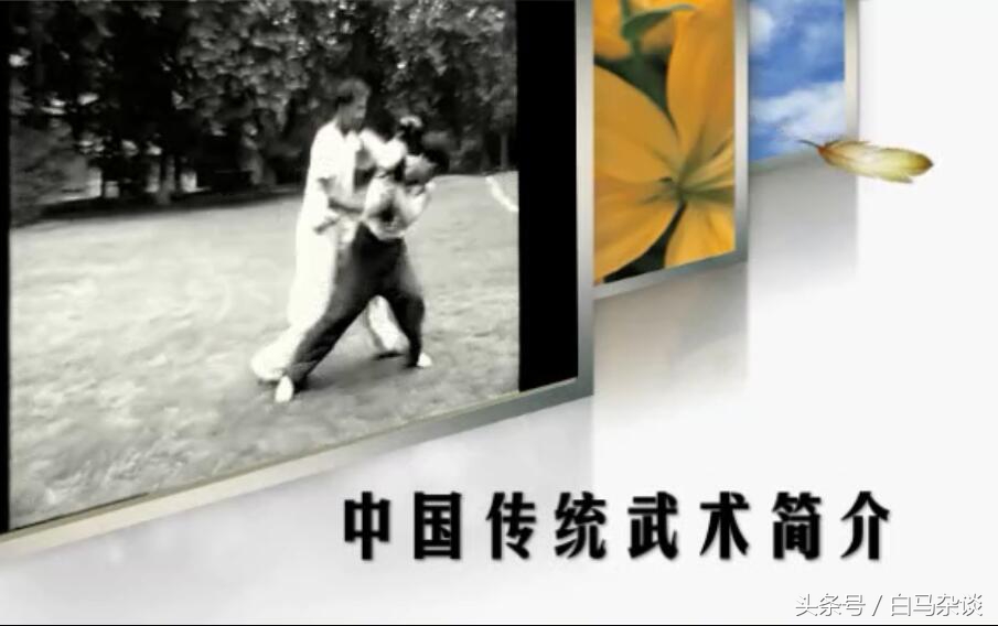 中国传统武术十大武术排名,中华古武术教学