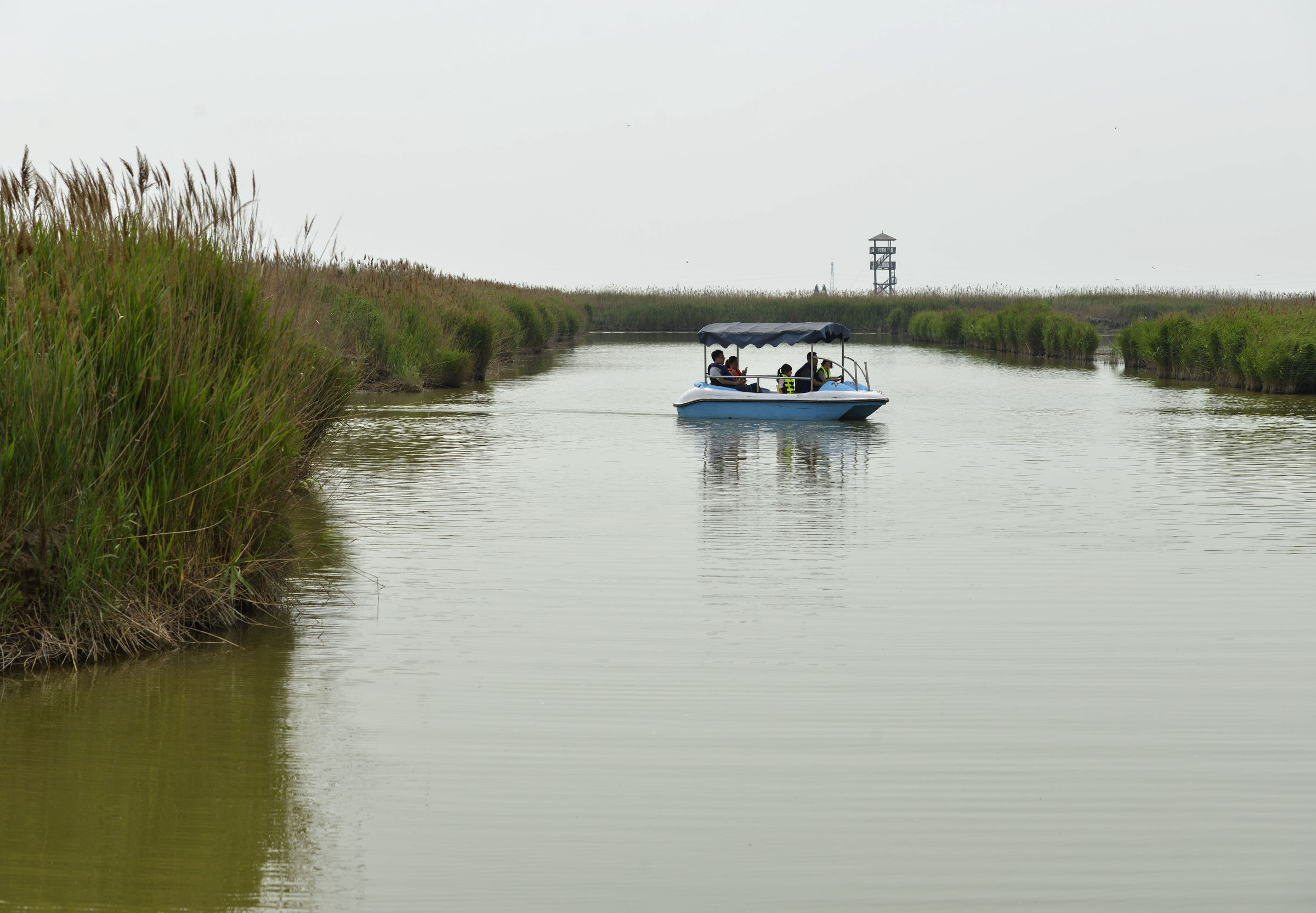 曹妃甸曹妃事件,曹妃甸区曹妃